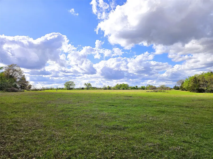 55.76 Acres Fm-3371, Groesbeck, TX 76642 - #3