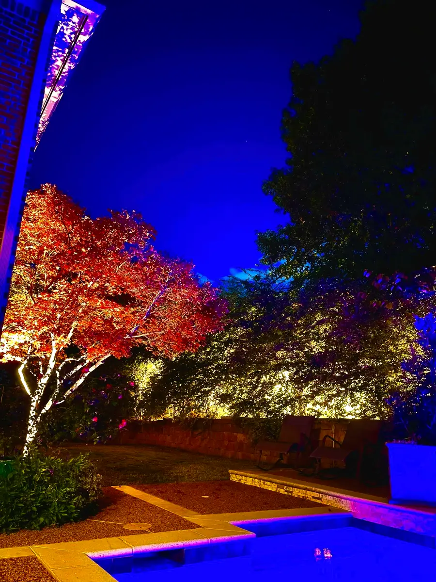 1003 Lakewood Drive, McKinney, TX 75072 - #3