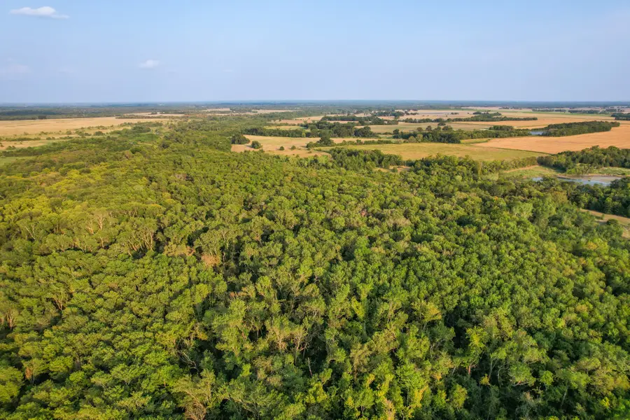 TBD County Road 3550, Honey Grove, TX 75446 - #3