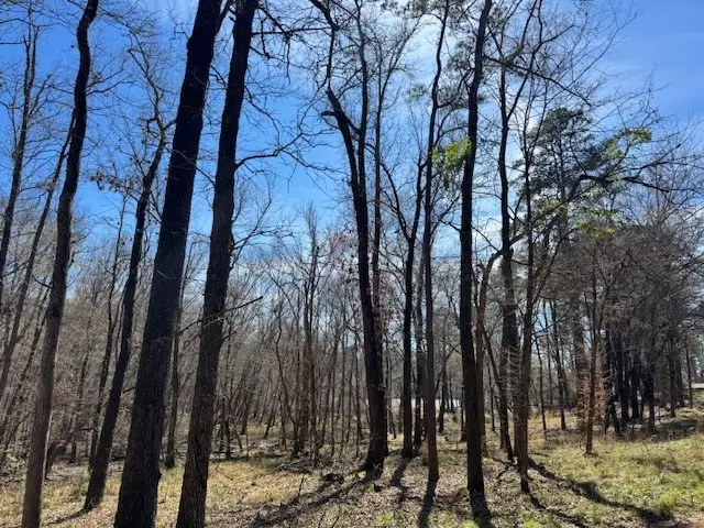 TBD Anderson County Rd. 319, Frankston, TX 75763 - #1