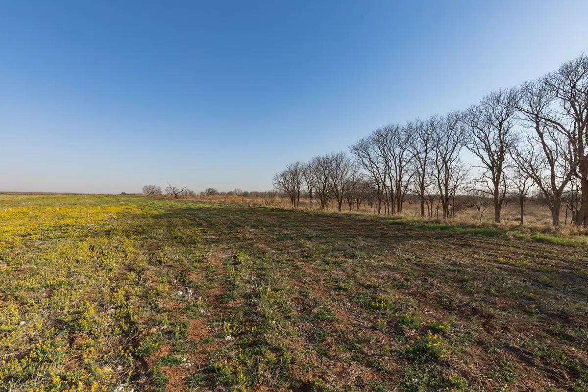 TBD Cr 262, McCaulley, TX 79534 - #1