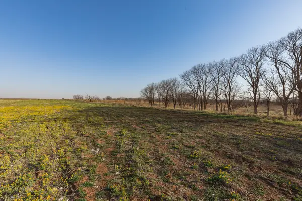 TBD Cr 262, McCaulley, TX 79534