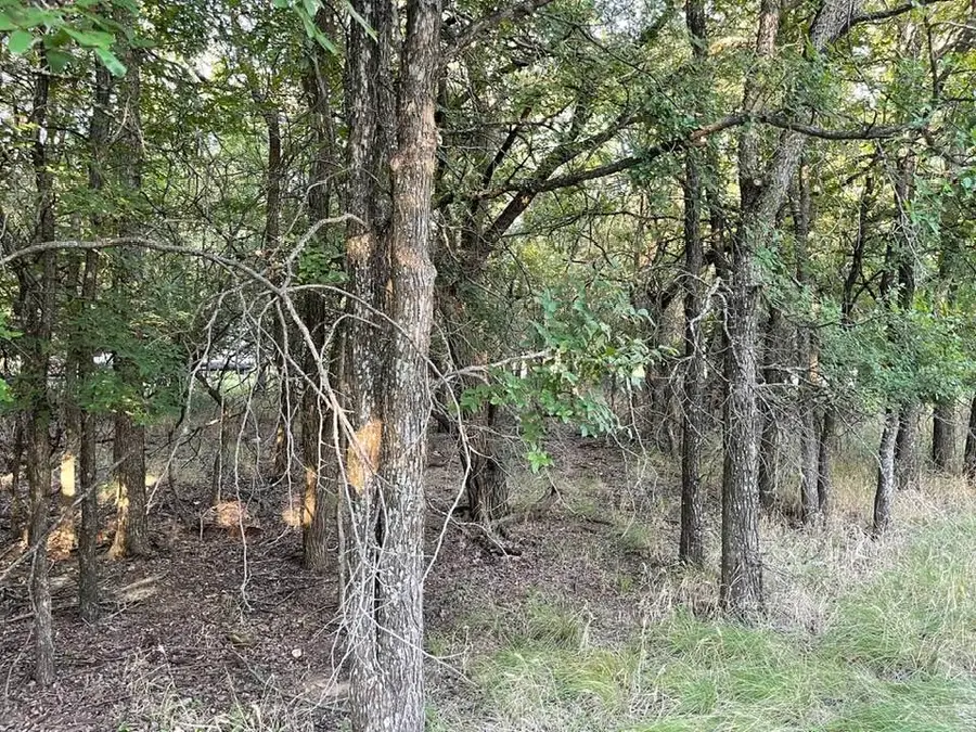 622 Cypress Drive, May, TX 76857 - #2