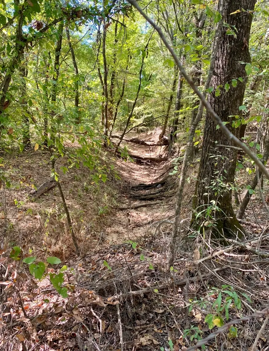 TBD County Road 2615, Bonham, TX 75418 - #2