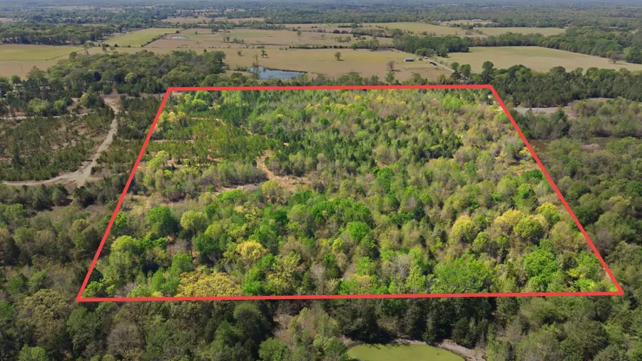 TBD Cr 2382, Alba, TX 75410 - #3