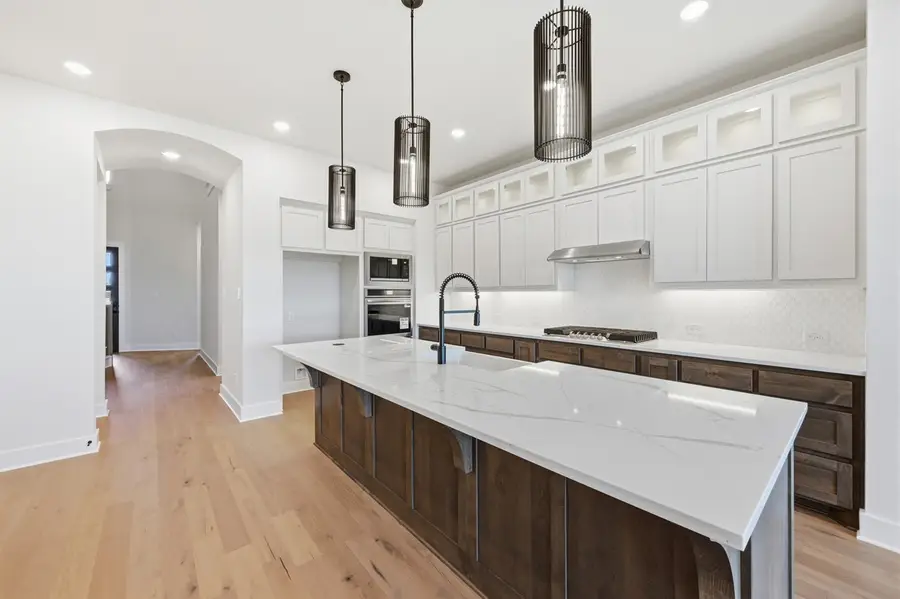 1025 Alberta Spruce Road, Northeast Harris, TX 76247 - #2