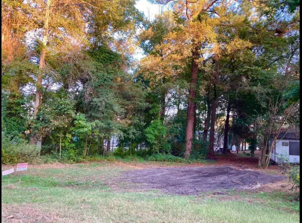 262 E Walnut Trail, Murchison, TX 75778 - #1