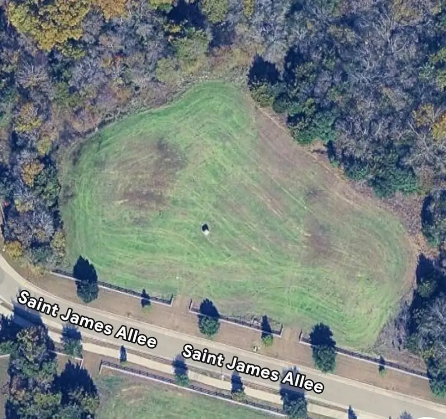 3 St. James Alley, Sunnyvale, TX 75182 - #2