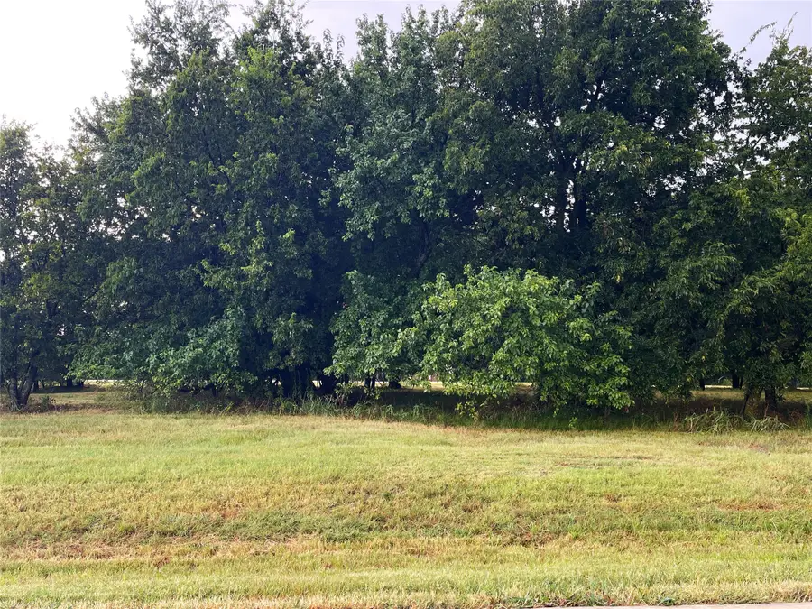 Lot 33B La Paloma Circle, Gordonville, TX 76245 - #2