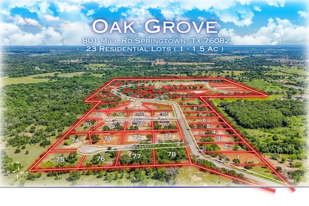 704 Slabs Way, Springtown, TX 76082 - #1