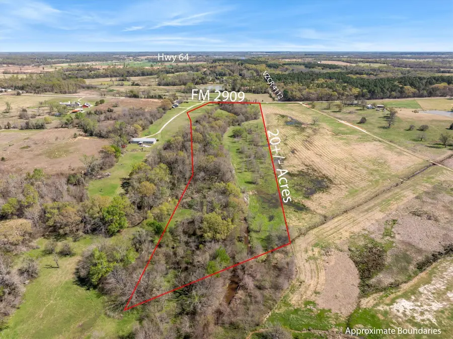 000 Fm 2909, Canton, TX 75103 - #2