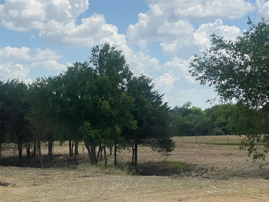 0 Tract 2 Lyman T. Davis, Corsicana, TX 75110 - #2