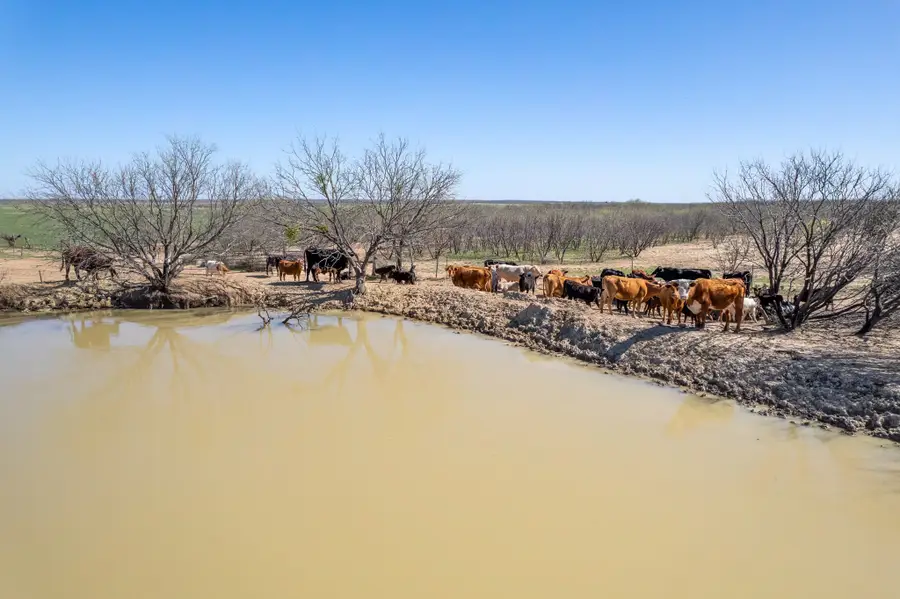 TBD Cr 300, Coleman, TX 76834 - #2