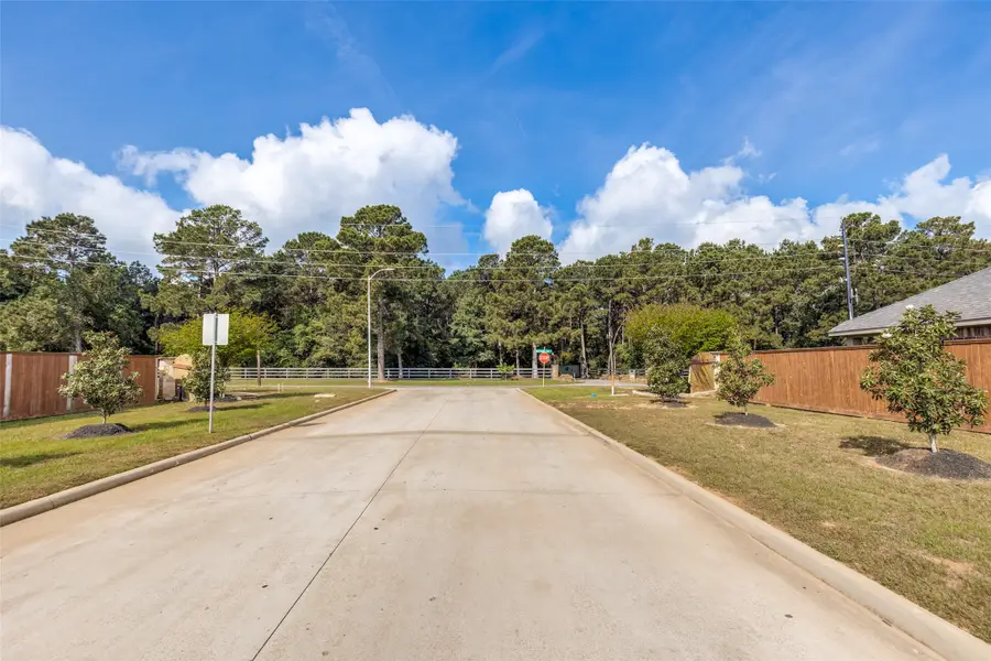 22822 Ephesus Avenue, Tomball, TX 77377 - #2