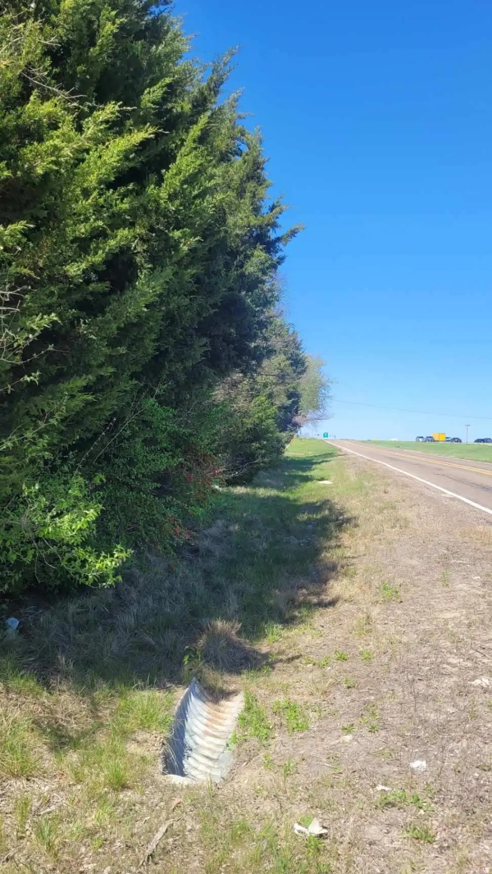 Lot 3 I-45, Palmer, TX 75152 - #1