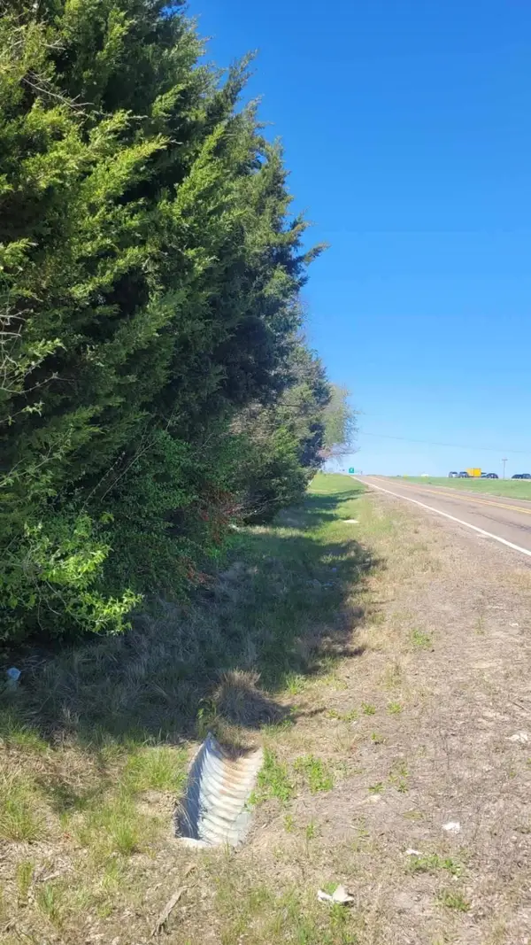 Lot 3 I-45, Palmer, TX 75152