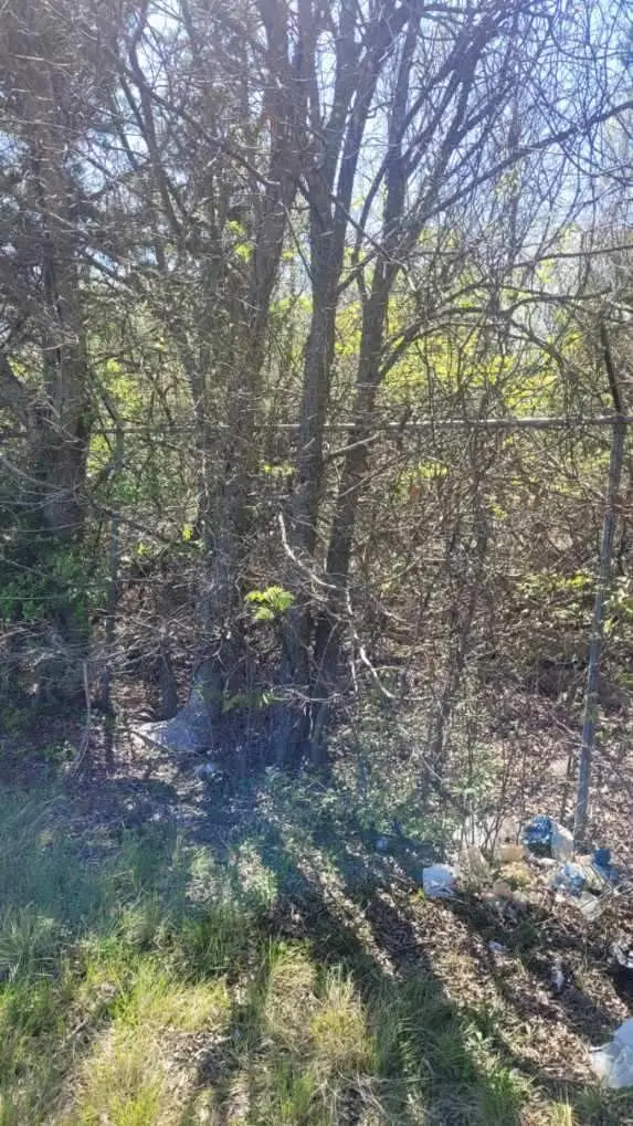 Lot 3 I-45, Palmer, TX 75152 - #2