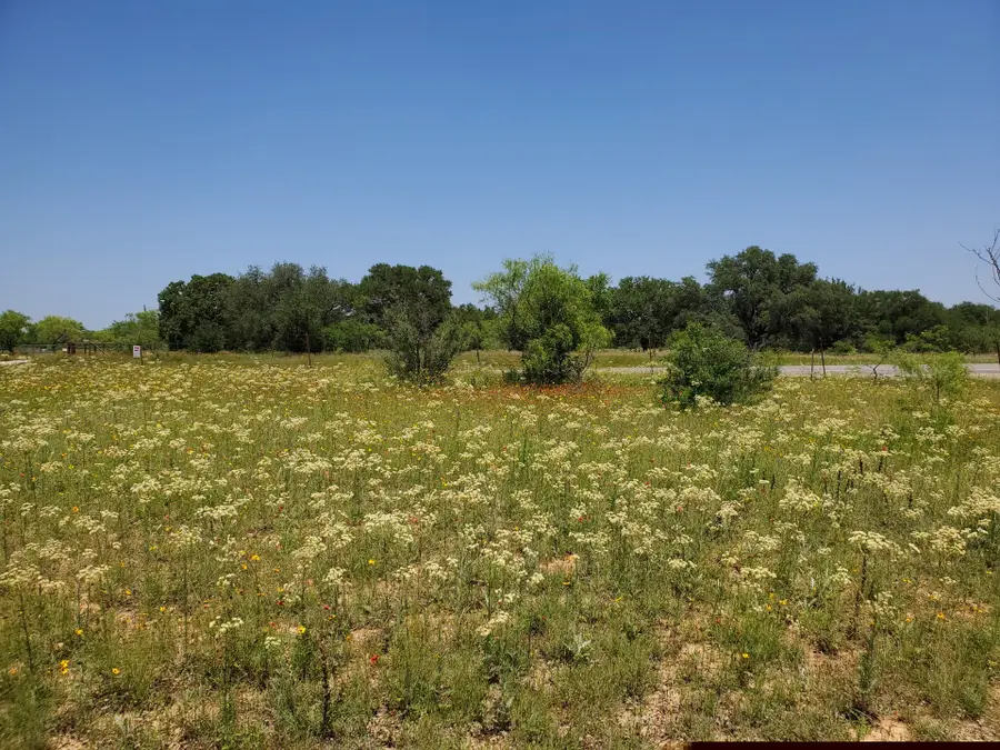 19069 Highway 6, Gorman, TX 76454 - #3