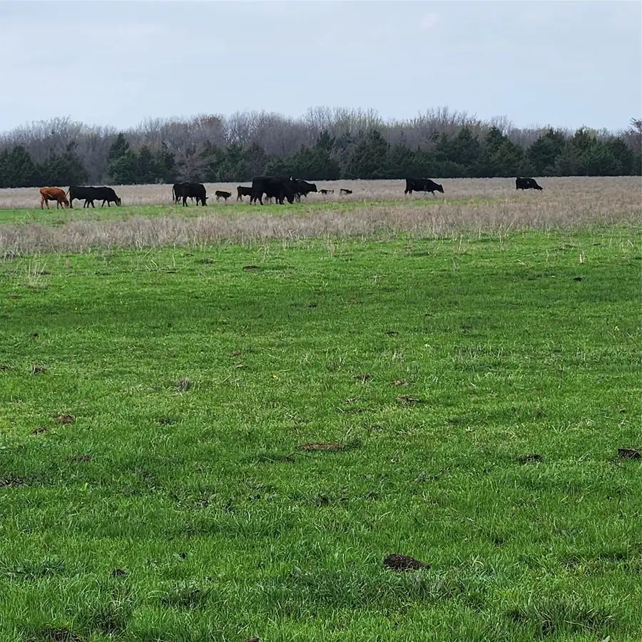 00 W Hinton Street, Tioga, TX 76271 - #2