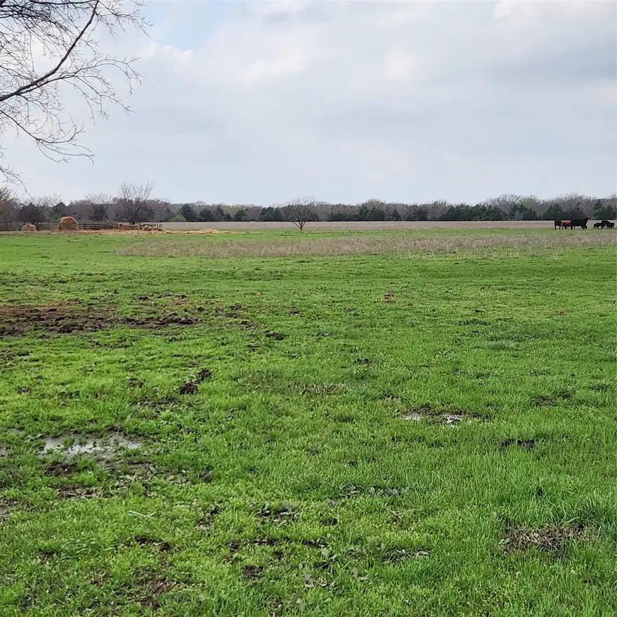 00 W Hinton Street, Tioga, TX 76271 - #3