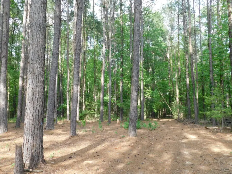 165 Rosewood Road, Springhill, LA 71075 - #2