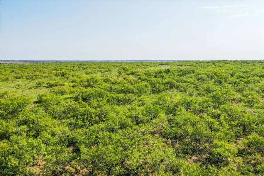 262.71 Acres Fm 1191, Jacksboro, TX 76458 - #3