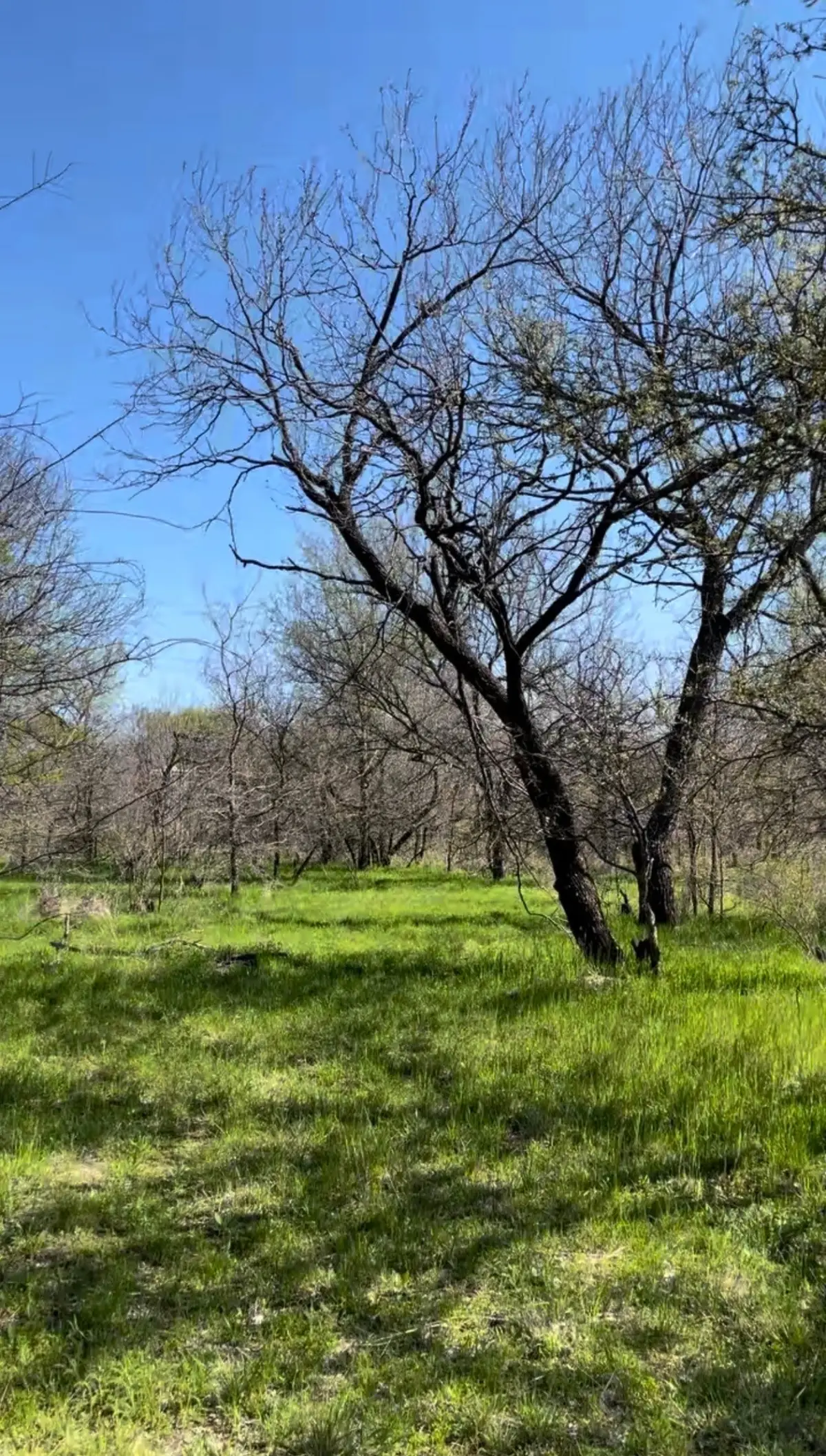 TBD Port O Call Drive, Runaway Bay, TX 76426 - #1