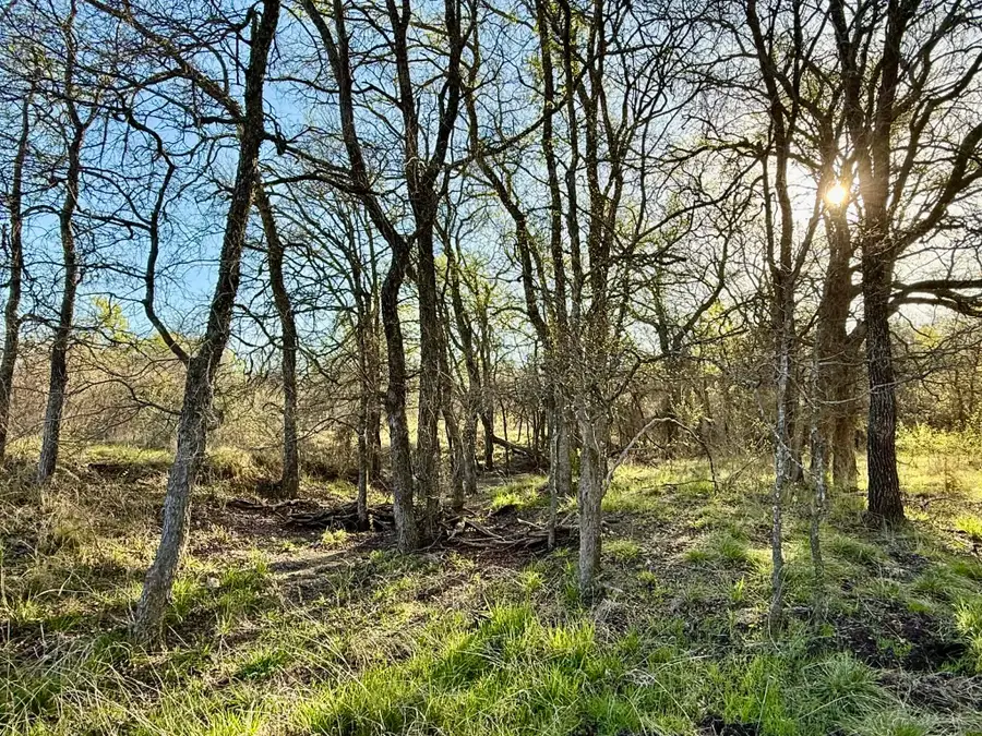 TBD 20.02 acres Cr 328, Dublin, TX 76446 - #2