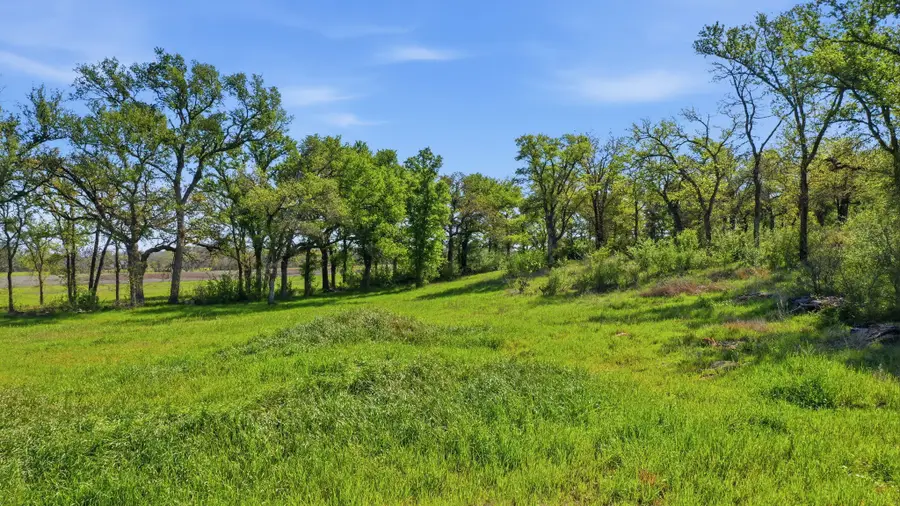 1005 Carter Lane, Santo, TX 76472 - #3