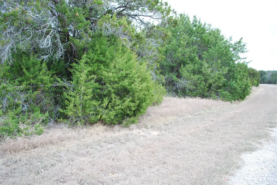 43111 Indian Blanket Drive, Whitney, TX 76692 - #2