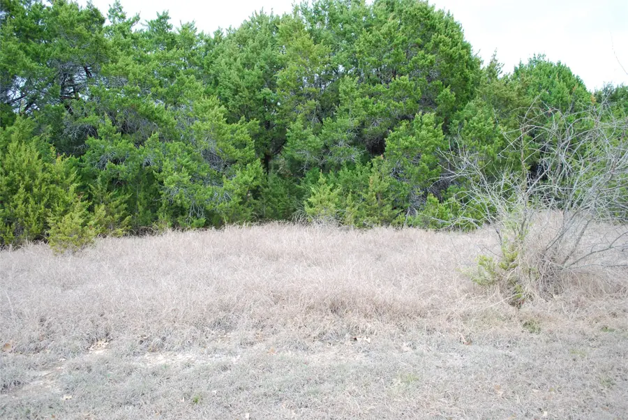 43111 Indian Blanket Drive, Whitney, TX 76692 - #3