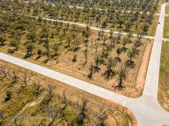 1401 Cirrus Loop, Granbury, TX 76049 - #2