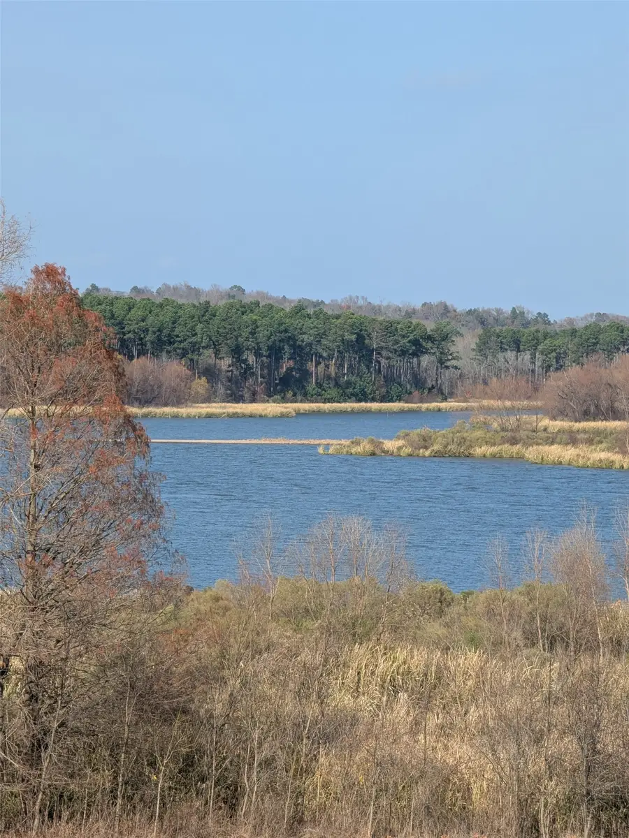 7710 Shore Crest Way, Athens, TX 75752 - #3