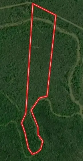 TBD Cr 4630, Annona, TX 75550 - #2