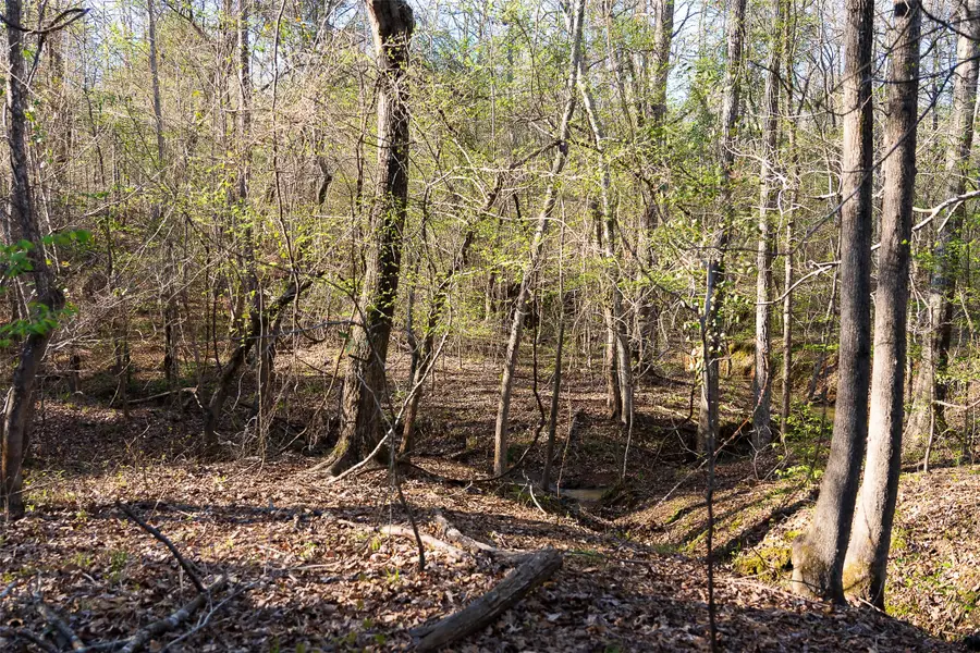 0 Farm To Market Road 747, Jacksonville, TX 75766 - #2