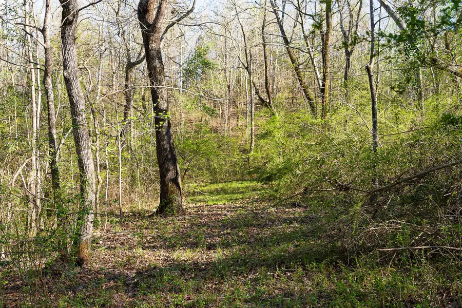 0 Farm To Market Road 747, Jacksonville, TX 75766 - #3