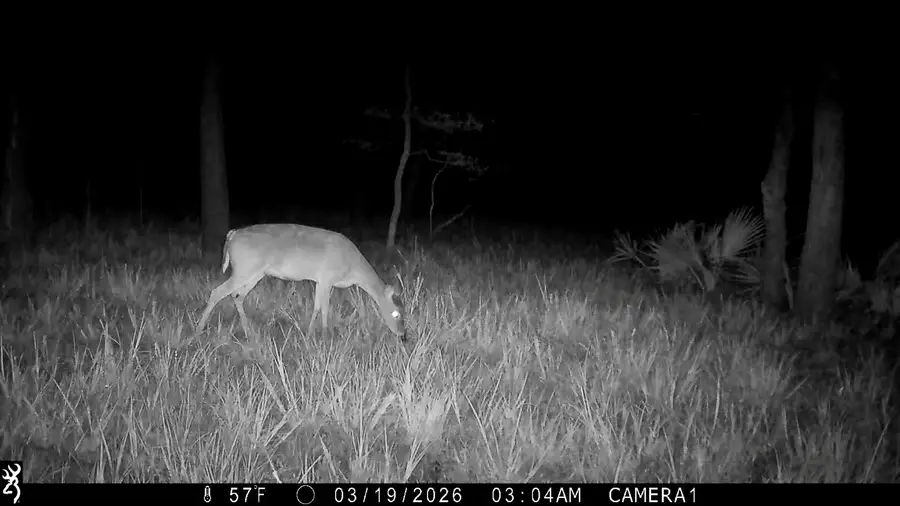 none C.r. 386, Marquez, TX 77865 - #3