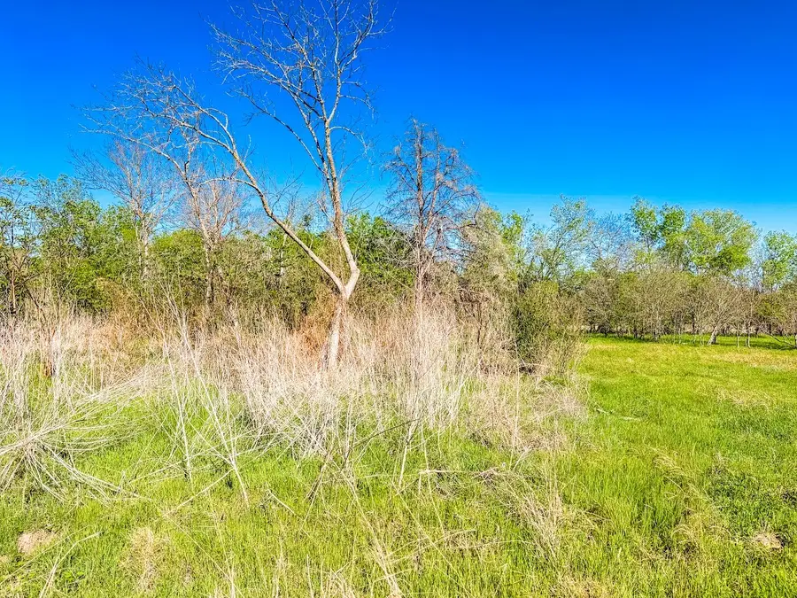 1007 S Belknap Street, Mexia, TX 76667 - #2