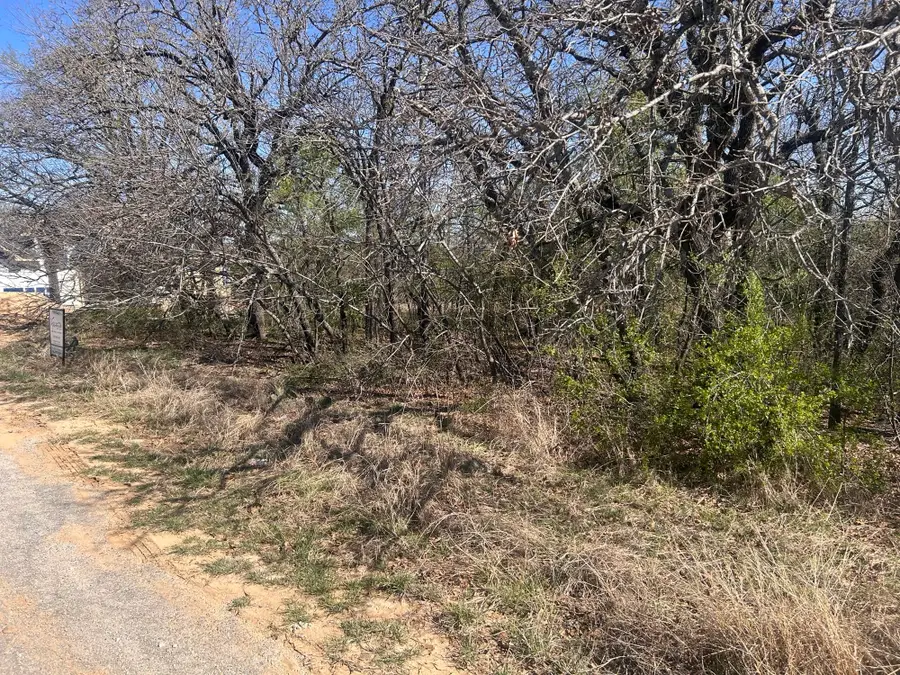 TBD Palmetto Court #2, Runaway Bay, TX 76426 - #2