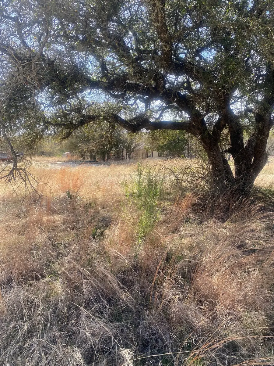 6036 E Us Highway 84 Highway E, Evant, TX 76525 - #2