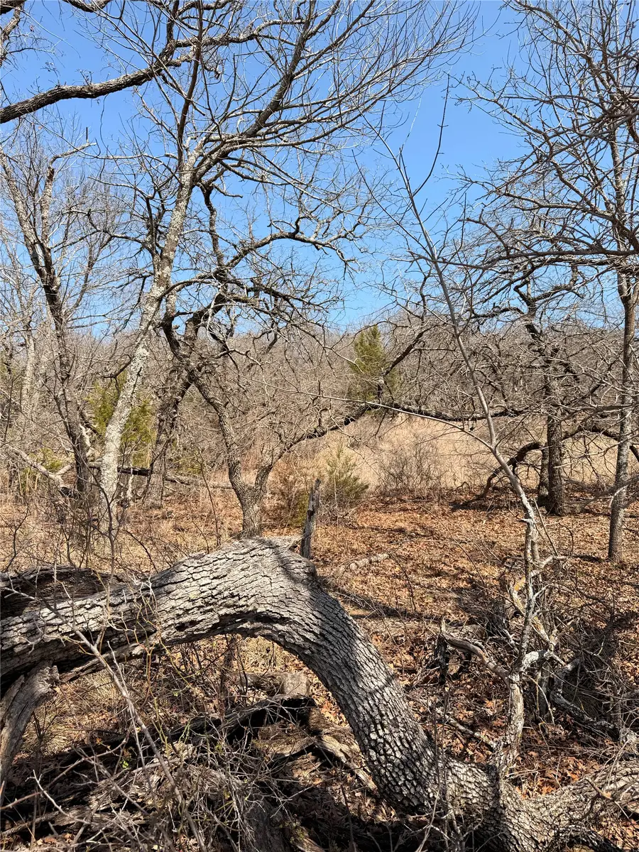 0 Silverleaf Drive, Sunset, TX 76270 - #3