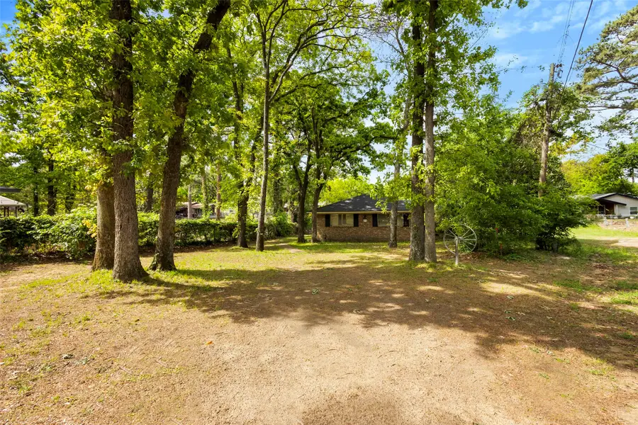 111 Island Park Drive, Gun Barrel City, TX 75156 - #2