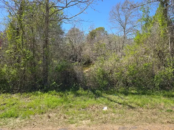 TBD Cr-3819, Athens, TX 75752