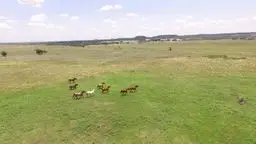 5165 County Road 2013, Glen Rose, TX 76043 - #3