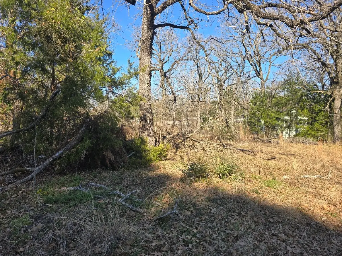 Lot 699 Shady Grove Road, Gun Barrel City, TX 75156 - #1