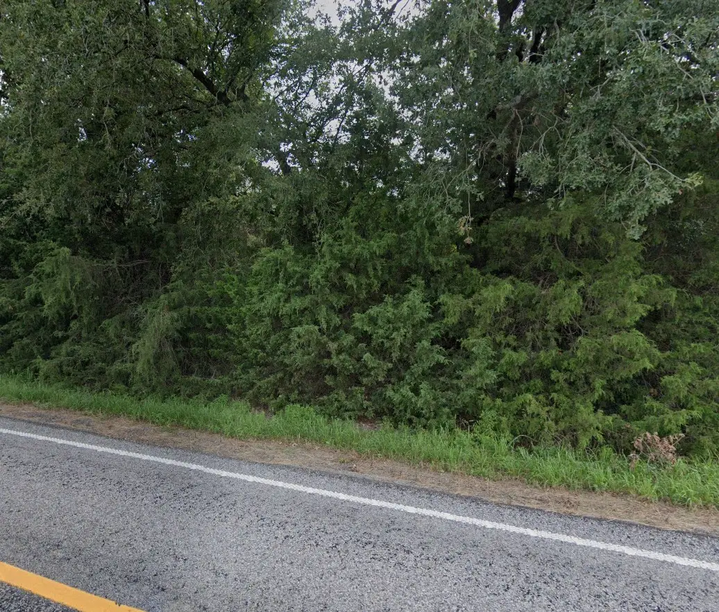 0 Fm 161, Hughes Springs, TX 75656 - #1