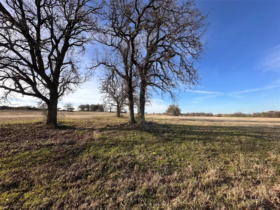 4305 County Road 179, Stephenville, TX 76401 - #3
