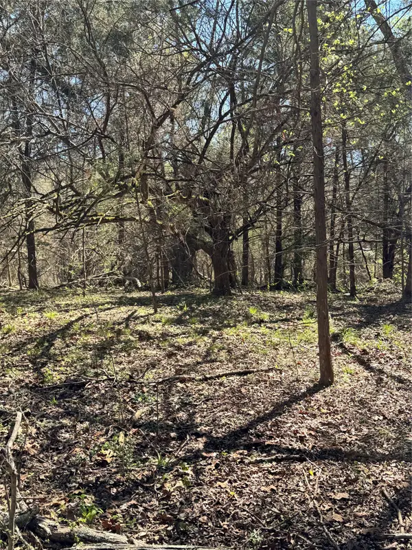 9999 TBD Cr 415, Tyler, TX 75704