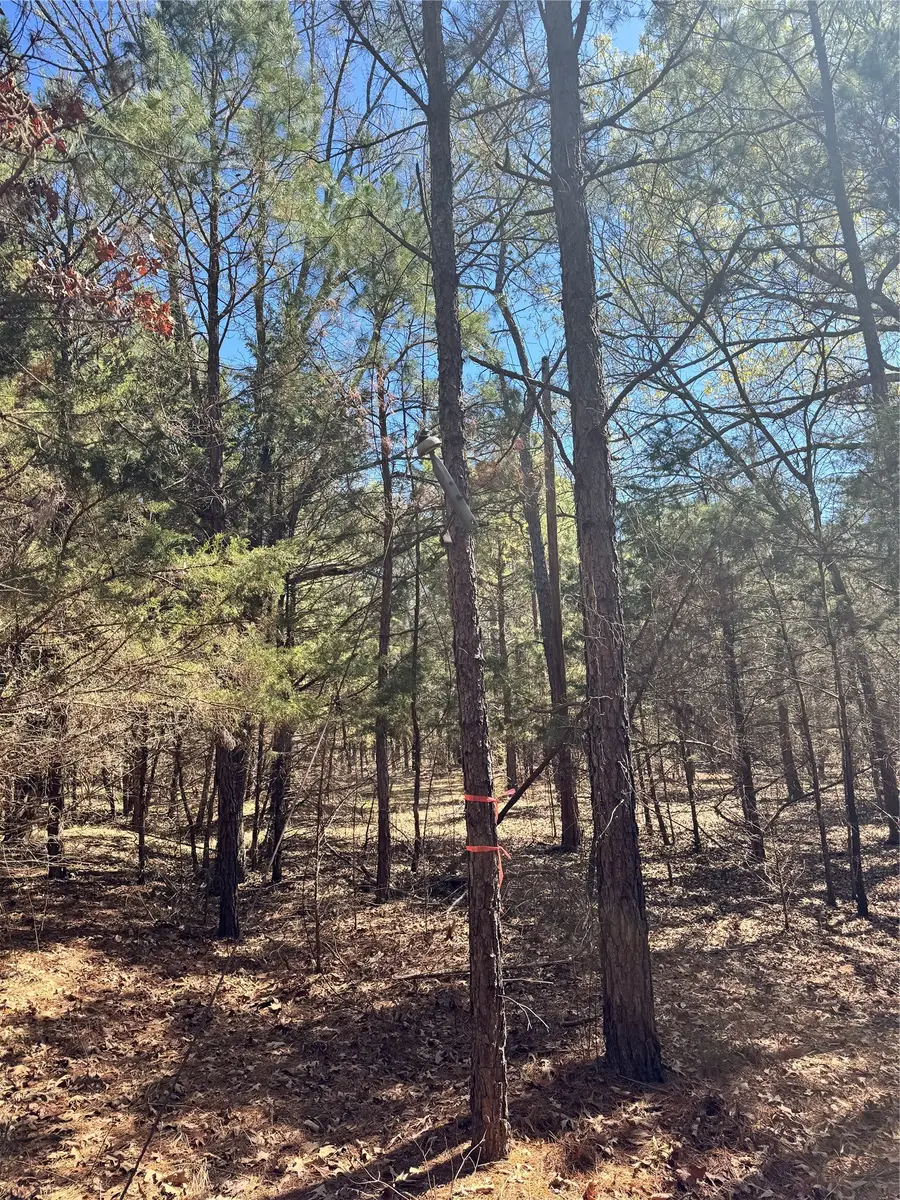 9999 TBD Cr 415, Tyler, TX 75704 - #2