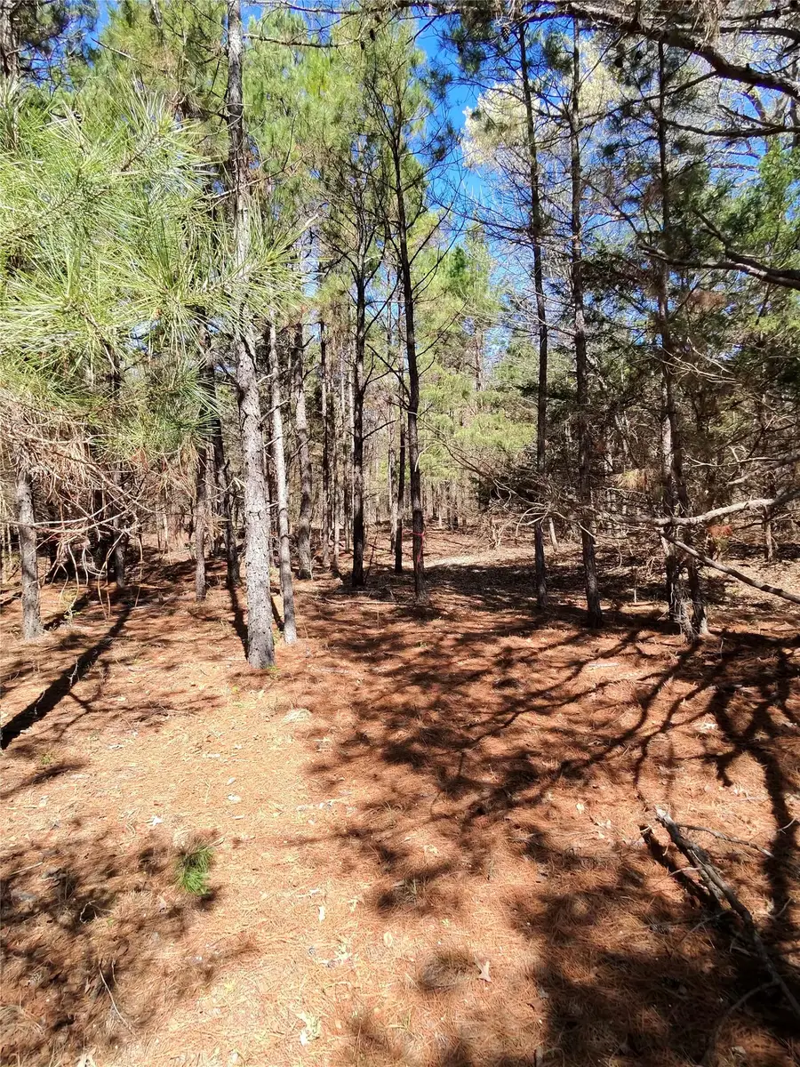 9999 TBD Cr 415, Tyler, TX 75704 - #3